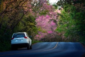 Ko Lanta : Transfert privé vers/depuis Phuket et Ko Lanta