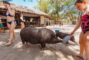 Koh Samui Explorer : L'aventure ultime en jet ski