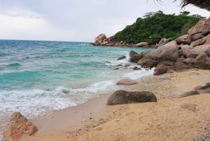 Koh Tao: Premium snorkletur til Koh Nangyuan-buktene med Oxygen