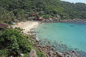 Koh Tao: Premium snorkletur til Koh Nangyuan-buktene med Oxygen