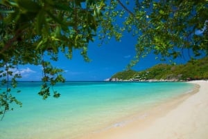 Koh Tao: Excursão de Snorkel Premium às baías de Koh Nangyuan pela Oxygen