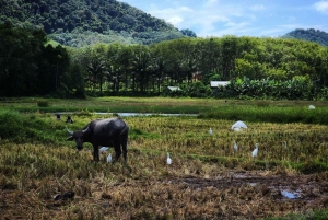 Odkrywanie wysp Koh Yao i Hong: Rowery, laguny, plaże
