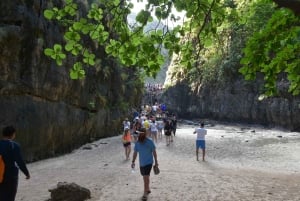 Krabi: Phi Phi Grand 5 Islands Odyssey pikaveneellä