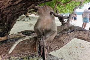 Krabi: Phi Phi Grand 5 Islands Odyssey pikaveneellä