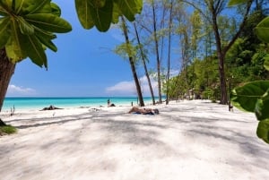 Krabi: Phi Phi Grand 5 Islands Odyssey pikaveneellä