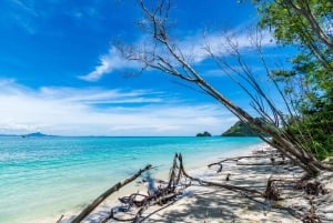Krabi: Phi Phi Grand 5 Islands Odyssey pikaveneellä