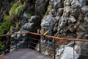 クラビ：ピピ島豪華プライベートロングテールボートツアー