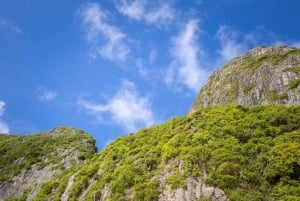 クラビ：ピピ島豪華プライベートロングテールボートツアー