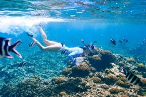 Krabi : Excursion Premium d'une Journée aux Îles Phi Phi avec Déjeuner et Snorkeling