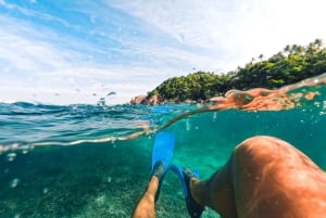 Krabi : Excursion Premium d'une Journée aux Îles Phi Phi avec Déjeuner et Snorkeling