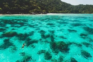 Krabi : Excursion Premium d'une Journée aux Îles Phi Phi avec Déjeuner et Snorkeling