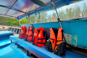Krabi: Private Luxury Long-Tail Boat to Hong Island