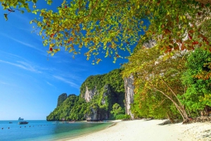 Krabi: Privates Luxus-Long-Tail-Boot zur Insel Hong
