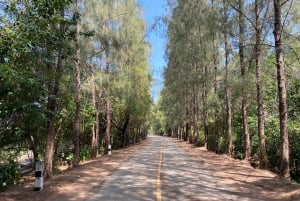 Culture locale Communauté à Koh Yao Yai