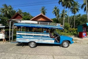 코야오야이의 지역 문화 커뮤니티