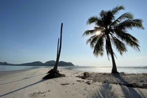 코야오야이의 지역 문화 커뮤니티