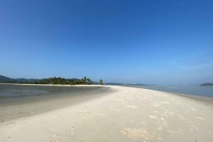 코야오야이의 지역 문화 커뮤니티