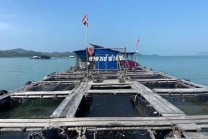 코야오야이의 지역 문화 커뮤니티