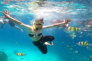 Luxury Private Charter to Coral Island Full Day Trip