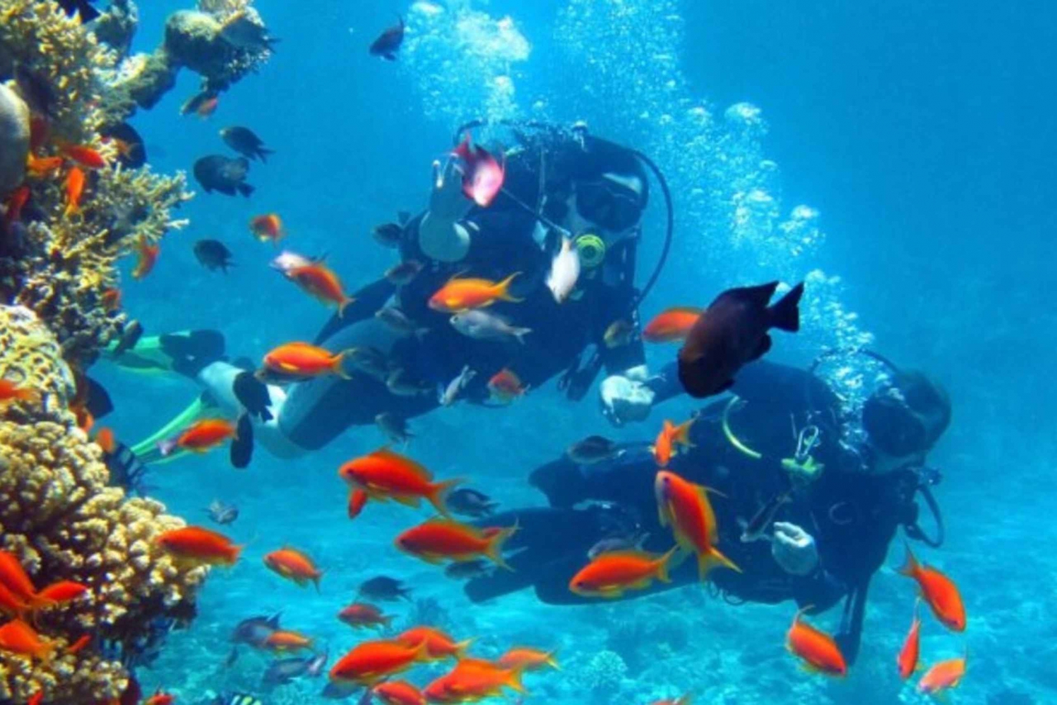 Maithon Private Island: Small Group Scuba Dive or Snorkeling