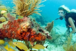 Maithon Private Island: Small Group Scuba Dive or Snorkeling