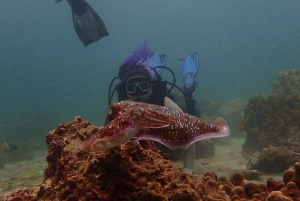 Phuket: Scuba Diving Maithon Island Small Group-Half Day