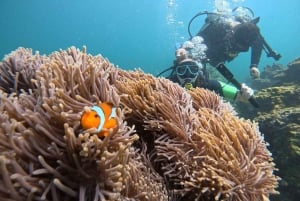 Phuket: Scuba Diving Maithon Island Small Group-Half Day
