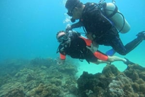 Phuket: Scuba Diving Maithon Island Small Group-Half Day