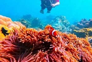 Phuket: Scuba Diving Maithon Island Small Group-Half Day