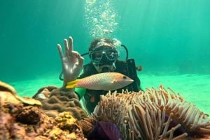 Phuket: Scuba Diving Maithon Island Small Group-Half Day