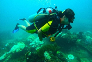 Phuket: Scuba Diving Maithon Island Small Group-Half Day