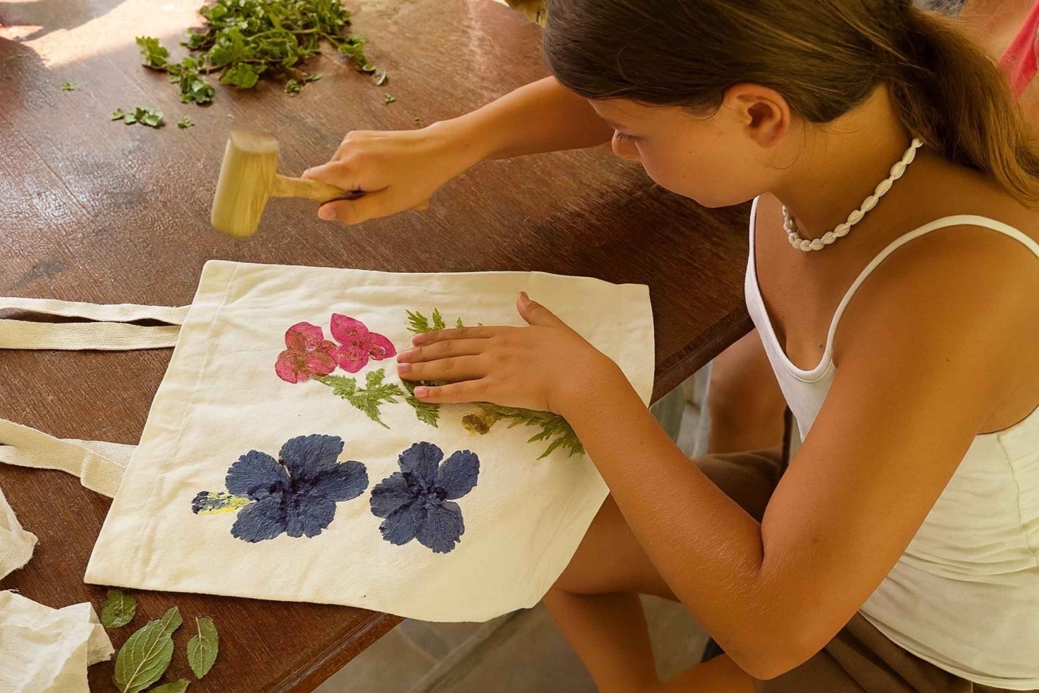 Naithon: Heart to Trunk - A Phuket Elephant Care Experience