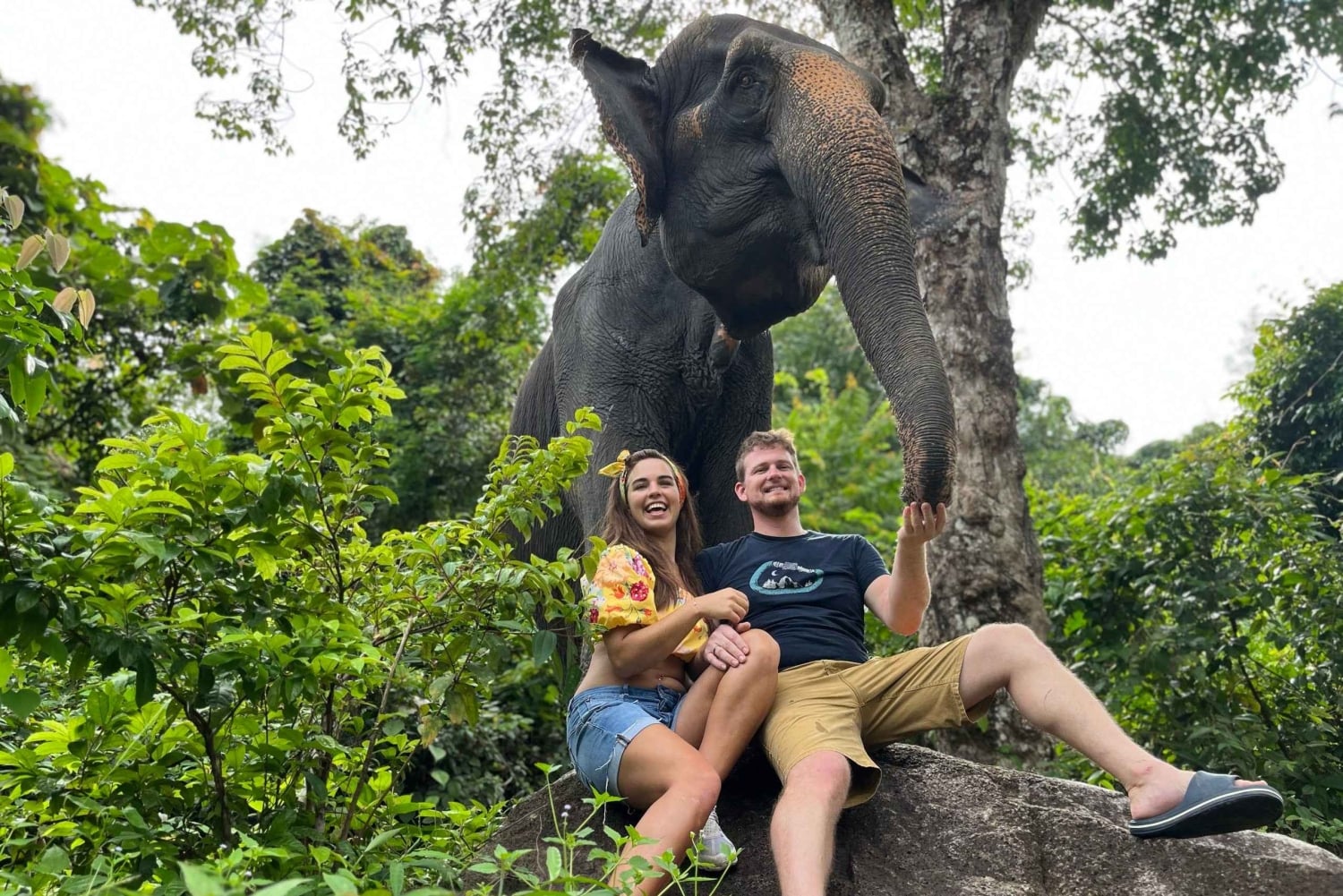 Nai Thon: esperienza con gli elefanti a Phuket