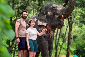 Naithon: Heart to Trunk - A Phuket Elephant Care Experience