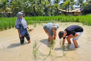 Old Phuket Farm Ticket - Countryside Local Life Culture