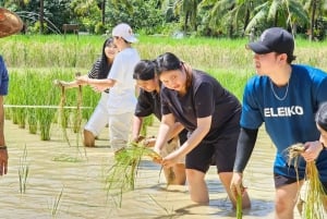 Old Phuket Farm Ticket - Countryside Local Life Culture