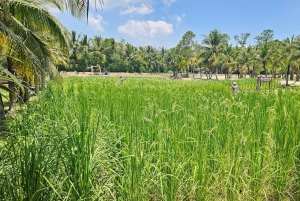 オールド プーケット ファーム チケット - 田舎の地元の生活文化