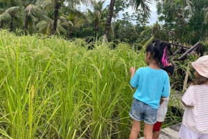 オールド プーケット ファーム チケット - 田舎の地元の生活文化