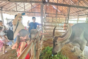 オールド プーケット ファーム チケット - 田舎の地元の生活文化