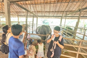 オールド プーケット ファーム チケット - 田舎の地元の生活文化