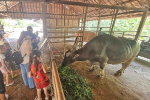 オールド プーケット ファーム チケット - 田舎の地元の生活文化