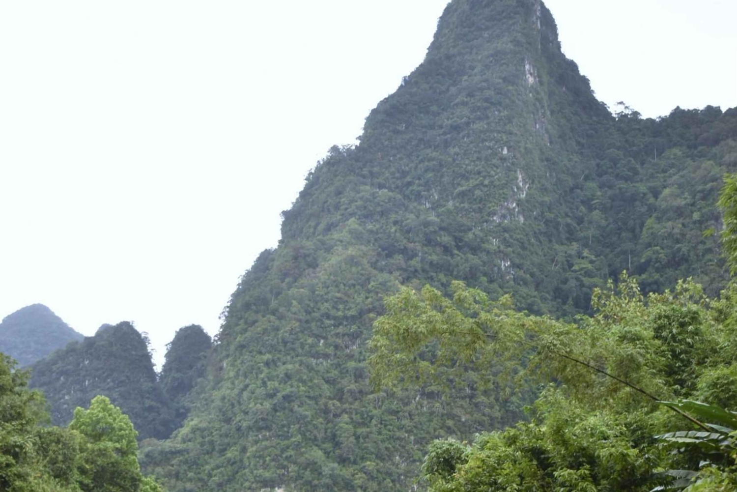 Nocleg w Treehouse Resort z zajęciami