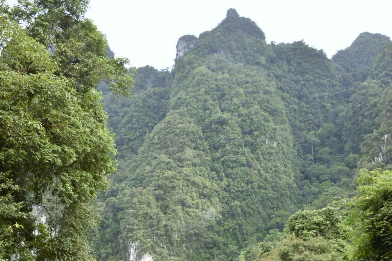 Nocleg w Treehouse Resort z zajęciami