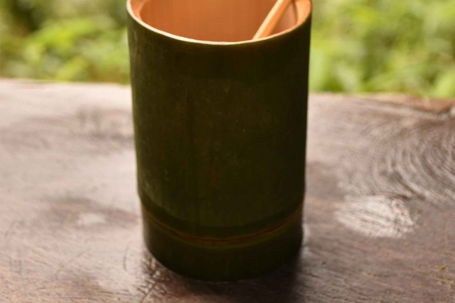 Nocleg w Treehouse Resort z zajęciami