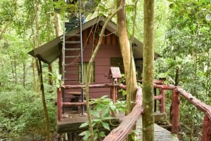 Overnight package stay at Treehouse resort with activities