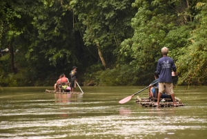 Nocleg w Treehouse Resort z zajęciami