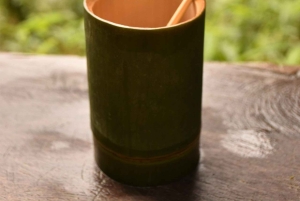 Nocleg w Treehouse Resort z zajęciami