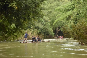 Nocleg w Treehouse Resort z zajęciami