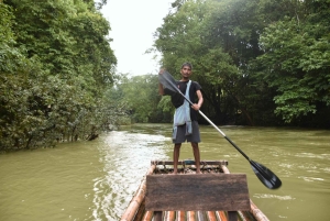 Nocleg w Treehouse Resort z zajęciami