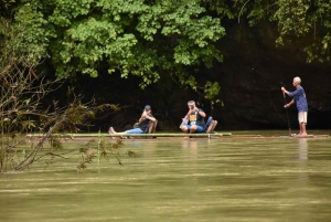 Nocleg w Treehouse Resort z zajęciami